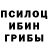 Галлюциногенные грибы GOLDEN TEACHER Zen J