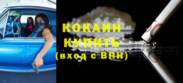 ПСИЛОЦИБИНОВЫЕ ГРИБЫ Дмитриев