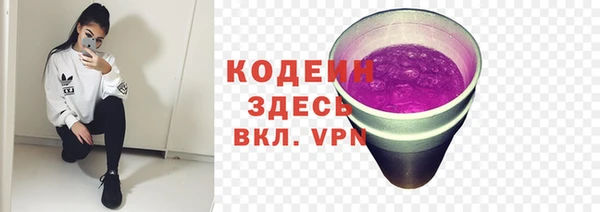 ГАЛЛЮЦИНОГЕННЫЕ ГРИБЫ Аркадак
