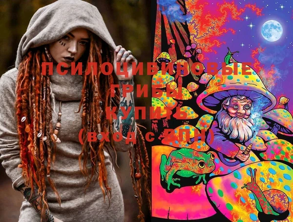ГАЛЛЮЦИНОГЕННЫЕ ГРИБЫ Аркадак