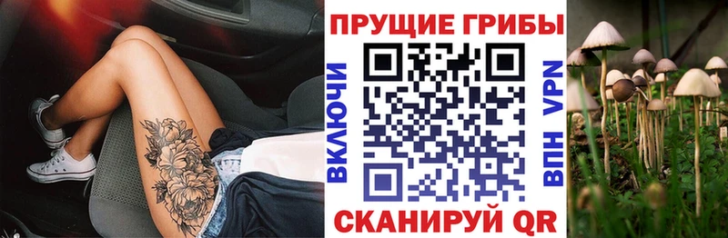 Галлюциногенные грибы прущие грибы  Новая Ляля 